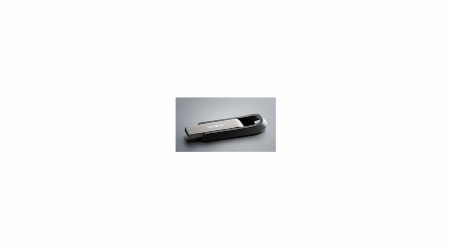 SanDisk Cruzer extreme GO 256GB USB 3.2 SDCZ810-256G-G46 PAMSADFLD0231