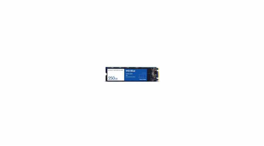 WD BLUE SSD 3D NAND WDS100T3B0B 1TB SA510 M.2 SATA, (R:560, W:520MB/s)