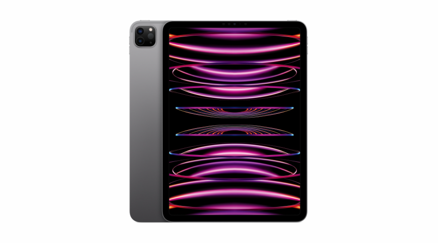 Apple iPad Pro 11"/WiFi/11"/2388x1668/16GB/2TB/iPadOS16/Space Gray