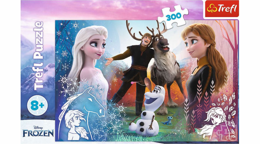 Puzzle 300 dílků Magic Time Frozen 2