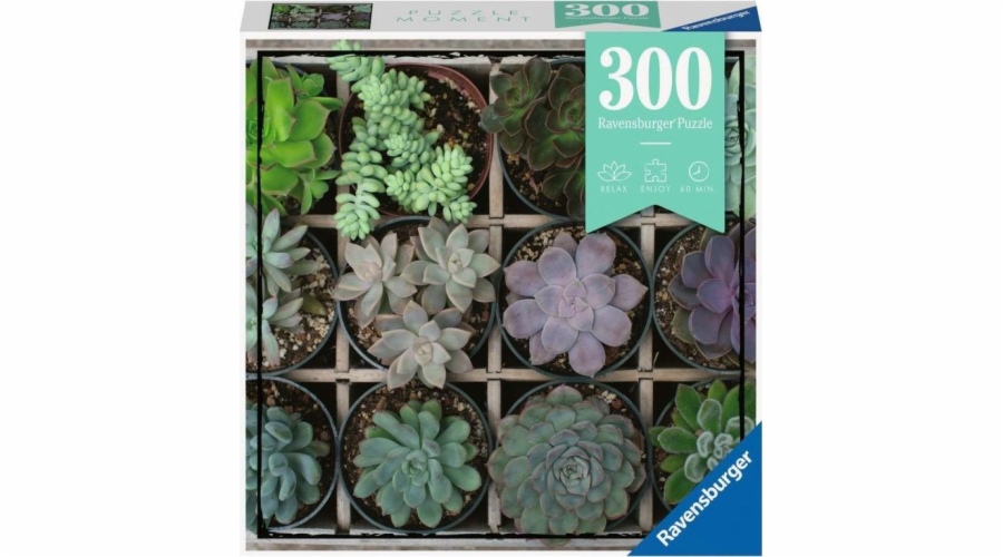 Ravensburger Puzzle Moment 300 rostlin