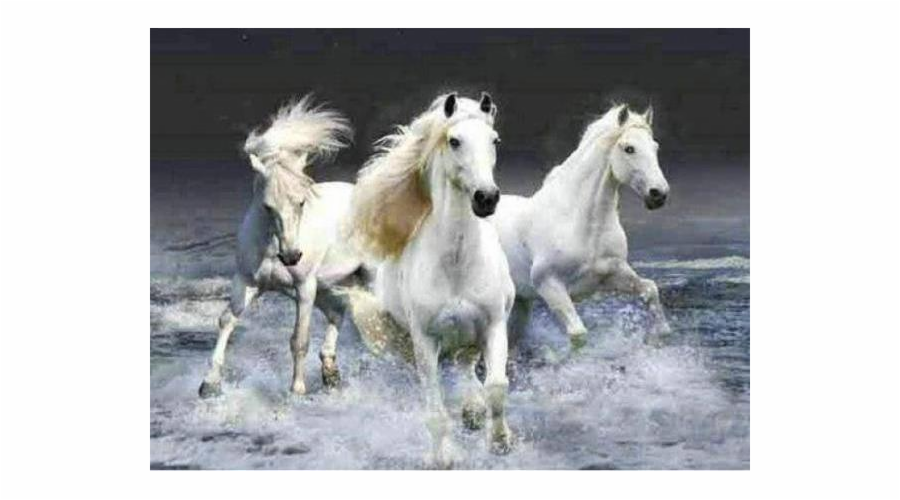 Diamantová mozaika - Bílí koně v moři