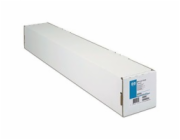 HP Professional Photo Paper Satin, 300g/m2 Q8840A