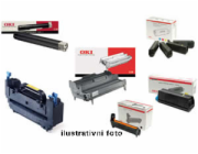 44318608  OKI Toner CIERNY pre C710/711   11000stran