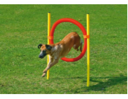 Karlie Agility překážka - kruh, žlutá/červená