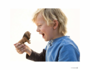 Schleich Wild Life Lev, rvouci