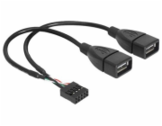 Delock - Kabel z USB iinterní na externí - USB (F) do hlavička USB 9 pinů (F) - 20 cm