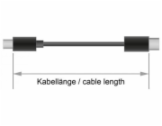 Delock - USB kabel - 24 pin USB-C (M) do 24 pin USB-C (M) - USB 3.1 Gen 1 - 5 A - 2 m - černá