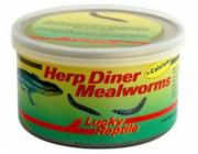 Lucky Reptile Herp Diner - mouční červi 35g Mouční červi mini 35g