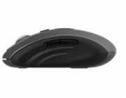 Rapoo MT350 black Wireless Multi-Mode Mouse