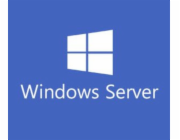 Windows Svr Std 2022 64Bit ENG 16 Core OEM