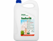 LUDWIK Hypoallergenic Dishwashing Liquid 900 g