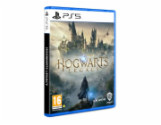 PS5 - Hogwarts Legacy