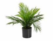 Umělá Areca palma v květináči, 46cm