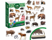 Maksik Magnets Forest dwellers MV 6032-09