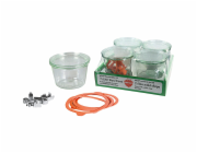 WECK Mold Jar 0,25l Set of 4