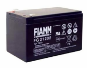 Fiamm olověná baterie FG21202 12V/12Ah