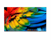 Philips/65HFL6214U/12/65"/4K UHD/Gray