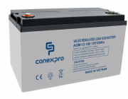 Baterie Conexpro AGM-12-100 VRLA AGM 12V/100Ah, T16 