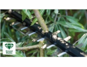Bosch UniversalHedgeCut 50 el.nuzky na zivy plot