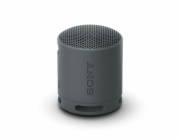 SONY SRS-XB100B