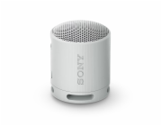 SONY SRS-XB100H