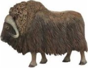 Figurka Collecta ARCTIC MUSK OX