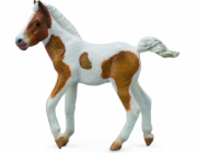 Collecta Figurine Dartmoor Hill Foal (004-88735)