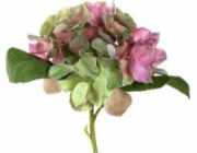 Leonardo Flower Hortensia 18 růžová Poesia