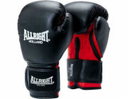 Allright ALLRIGHT MASTER BOXERSKÉ RUKAVICE 16oz univerzální