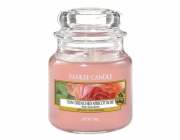 Svíčka ve skleněné dóze Yankee Candle, Vyšisovaná meruňková růže, 104 g