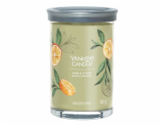 Svíčka ve skleněném válci Yankee Candle, Šalvěj a citrus, 567 g