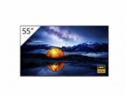 Sony Bravia Professional Displays FW-55BZ40L - 55" Třída úhlopříčky BZ40L Series displej LCD s LED podsvícením - digital signage - Android TV - 4K UHD (2160p) 3840 x 2160 - HDR - Direct LED