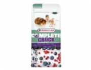 VERSELE LAGA Complete Crock Berry - pamlsek pro hlodavce - 50g