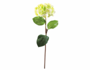 Hortenzie větvička zelená, 76 cm