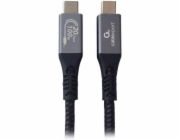 Gembird CCBP-USB3-CMCM100-1.5M USB kabel USB 3.2 Gen 2 (3.1 Gen 2) 1,5 m USB C Černá, Stříbrná