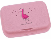 Leonardo Box na oběd Flamingo