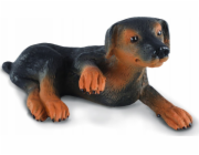 Figurka Collecta COLLECTA DOBERMAN PUPPY