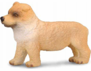 Figurka Collecta COLLECTA CHOW CHOW PUPPY