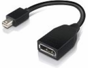 Lenovo DisplayPort Mini – kabel DisplayPort 0,15 m černý (4X90L13971)