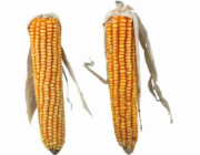 Trixie CORN COBS, 2 ks/250 g