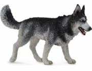 Figurka Collecta sibiřský husky pes (004-88707)