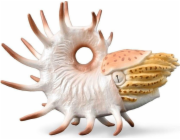 Figurka Collecta Cooperoceras