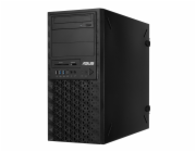 Pracovní stanice ASUS PRO E500 G7/550W (90SF01K1-M001T0) Černá
