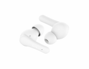 Belkin SoundForm Rhythm Sluchátka Bezdrátový Do ucha Hovory/hudba Micro-USB Bluetooth Bílá