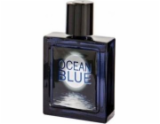 Omerta Silver Ocean EDT 100 ml