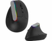 Bezdrátová vertikální myš Delux M618C 2,4G 1600DPI RGB (Černá)