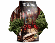 Blue Orca Fusion Salvador Fazenda Roja