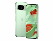 Google Pixel 9 - 256GB Wintergreen, USA