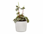 Hrnec Scheurich Perla 64668, keramika, H 18 cm, bílý